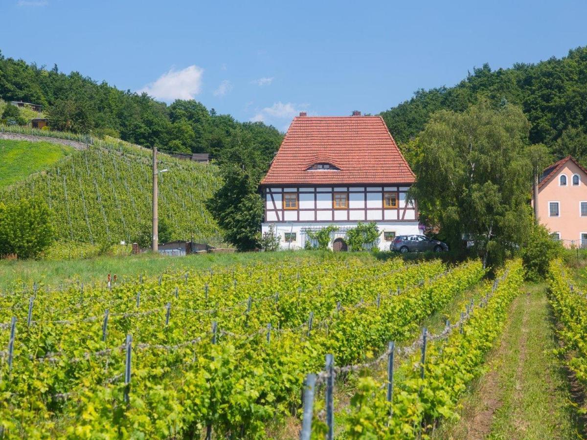 Alt Coswigerhof Hotel Kültér fotó
